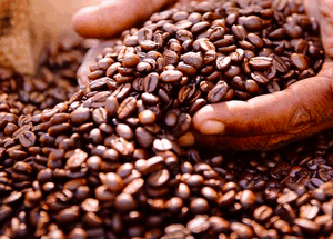 Café Fort de Café