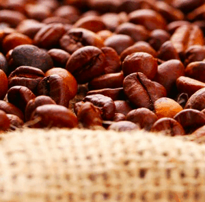 Café Moka Lekempti Ethiopie Bio