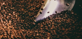 Café Nicaragua Bio
