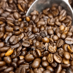 Café Papouasie Nouvelle Guinée BIO
