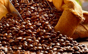 Café Robusta Viêt-Nam