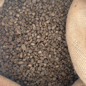 Cafe Congo Kivu