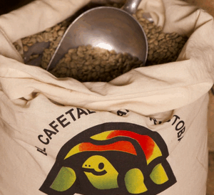Café Guatemala Huehuetenango BIO