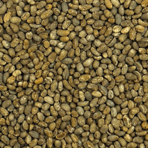 Café Sumatra Raja Batak