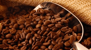 Robusta Ouganda